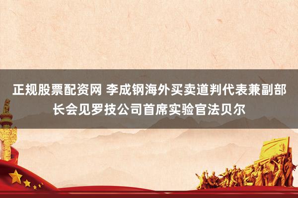 正规股票配资网 李成钢海外买卖道判代表兼副部长会见罗技公司首席实验官法贝尔
