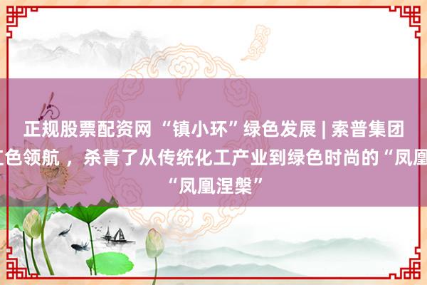 正规股票配资网 “镇小环”绿色发展 | 索普集团：以红色领航 ，杀青了从传统化工产业到绿色时尚的“凤凰涅槃”